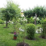 "Pamiętajcie o ogrodach"