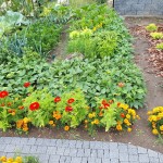 "Pamiętajcie o ogrodach"