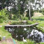 "Pamiętajcie o ogrodach"