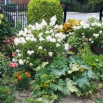 "Pamiętajcie o ogrodach"