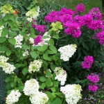 "Pamiętajcie o ogrodach"