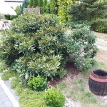 "Pamiętajcie o ogrodach"