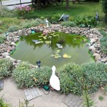 "Pamiętajcie o ogrodach"