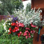 "Pamiętajcie o ogrodach"