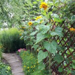 "Pamiętajcie o ogrodach"