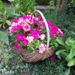 "Pamiętajcie o ogrodach"