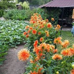 "Pamiętajcie o ogrodach"