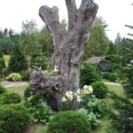 "Pamiętajcie o ogrodach"