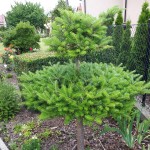 "Pamiętajcie o ogrodach"