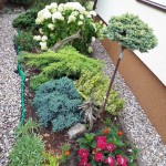 "Pamiętajcie o ogrodach"