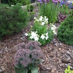 "Pamiętajcie o ogrodach"