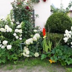 "Pamiętajcie o ogrodach"