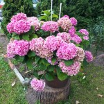 "Pamiętajcie o ogrodach"