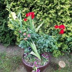 "Pamiętajcie o ogrodach"