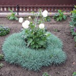 "Pamiętajcie o ogrodach"