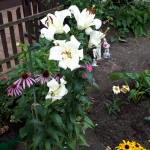 "Pamiętajcie o ogrodach"