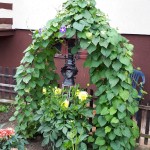 "Pamiętajcie o ogrodach"