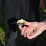 Spotkanie kulinarne - pożegnanie lata