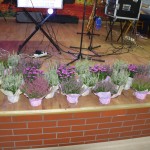 BAL EMERYTÓW I RENCISTÓW