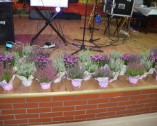 Bal Emerytów i Rencistów