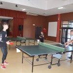 Zajęcia tenisa stołowego