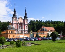 Oferta dla Seniorów