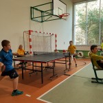 Półfinał Wojewódzki Igrzysk  Dzieci  w tenisie stołowym