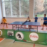 Półfinał Wojewódzki Igrzysk  Dzieci  w tenisie stołowym