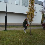 Gminne Obchody Narodowego Święta Niepodległości