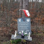 OBCHODY NARODOWEGO ŚWIĘTA NIEPODLEGŁOŚCI