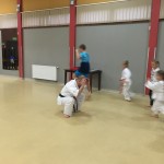 Zajęcia karate