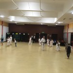 Zajęcia karate