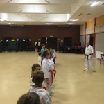 Zajęcia karate