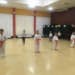 Zajęcia karate