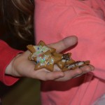 Mikołajki w Ośrodku Kultury w Dziemianach