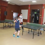 Tenis stołowy