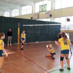 Powiatowa Liga Siatkówki Dziewcząt Klas VII-VIII
