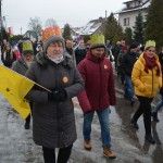 IX Orszak Trzech Króli w Dziemianach