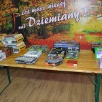 Dziemiańska Liga Baśki