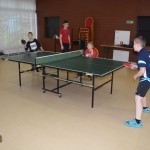 Tenis stołowy