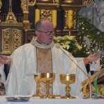 IX Orszak Trzech Króli w Dziemianach