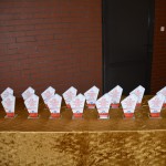 100 Rocznica Powrotu Gminy Dziemiany w Granice Rzeczypospolitej Polskiej