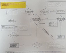 Koronawirus Procedury Postępowania