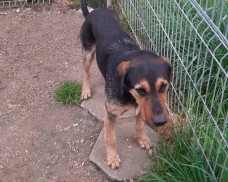 UWAGA – ZNALEZIONO PSA