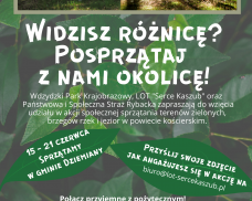 Akcja sprzątania w Gminie Dziemiany