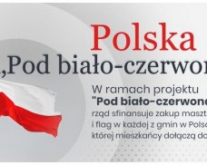 Głosowanie o flagę
