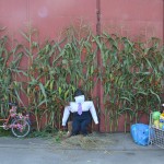 Dożynki Gminno - Parafialne w Trzebuniu