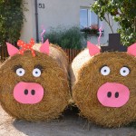 Dożynki Gminno - Parafialne w Trzebuniu