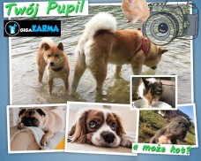 Ośrodek Kultury w Dziemianach ogłasza konkurs fotograficzny